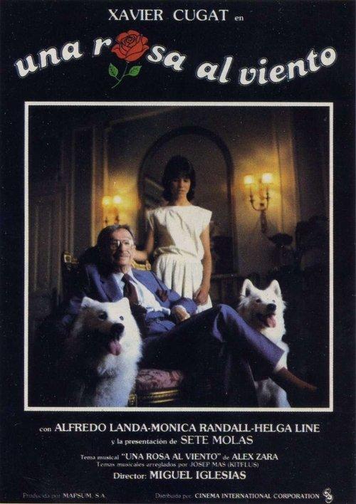A Rose in the Wind film afişi