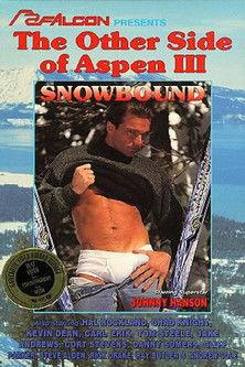 The Other Side Of Aspen 3: Snowbound film afişi
