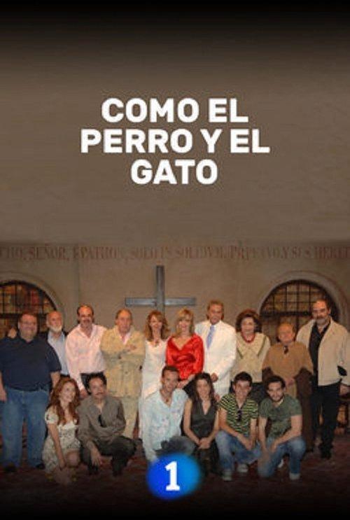 Como el perro y el gato dizi afişi