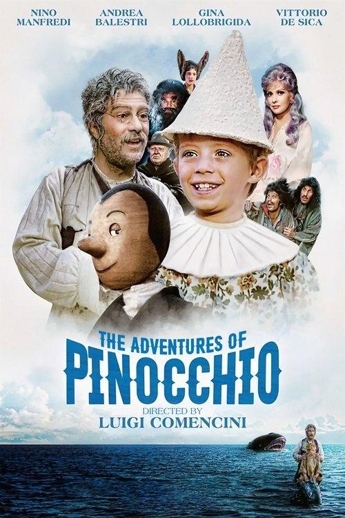 The Adventures of Pinocchio dizi afişi
