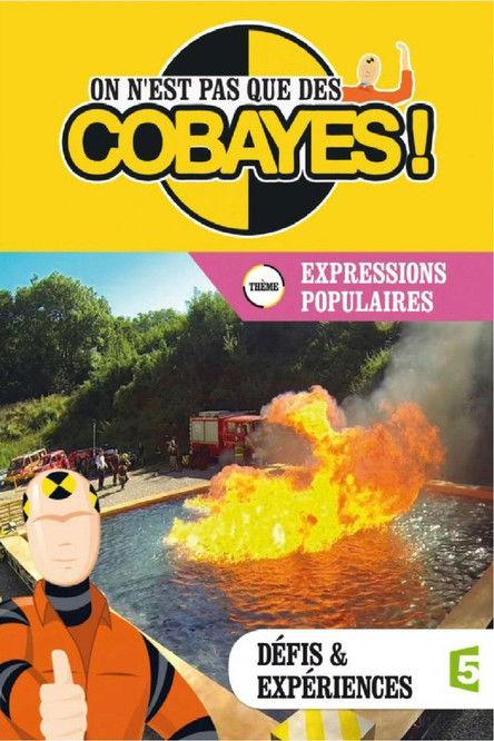 On n'est pas que des cobayes ! Sezon 3
