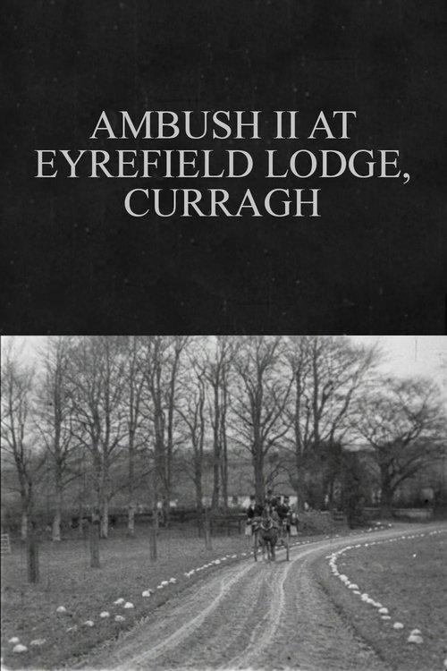 Ambush II at Eyrefield Lodge, Curragh film afişi