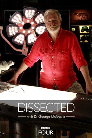 Dissected dizi afişi