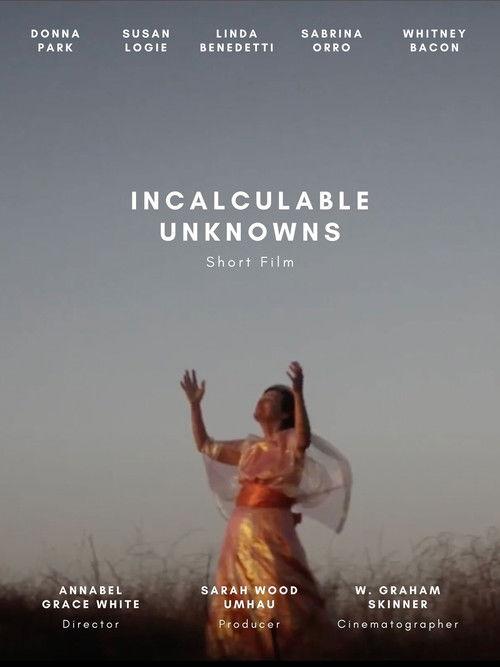 Incalculable Unknowns film afişi