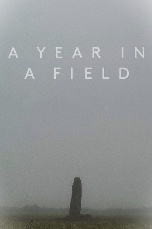 A Year in a Field film afişi