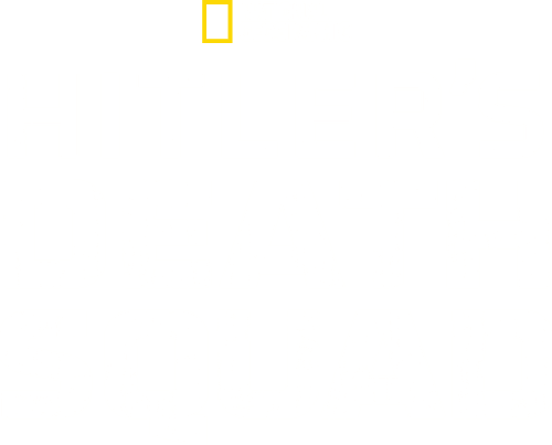 Das Reich: Hitler's Death Squads logo