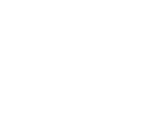 The Vow logo