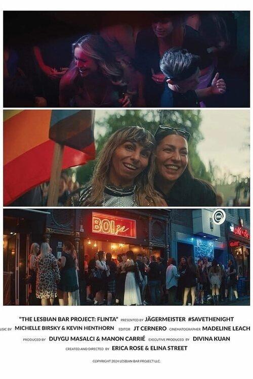 The Lesbian Bar Project dizi afişi