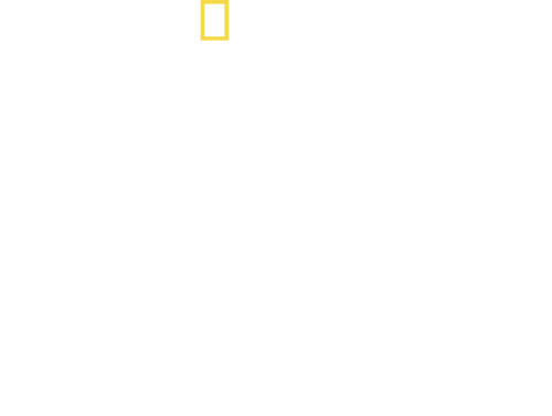 Inside North Korea: Then and Now with Lisa Ling logo