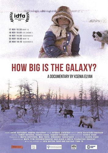 How Big Is the Galaxy? film afişi