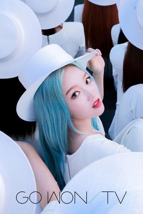 Go Won TV dizi afişi