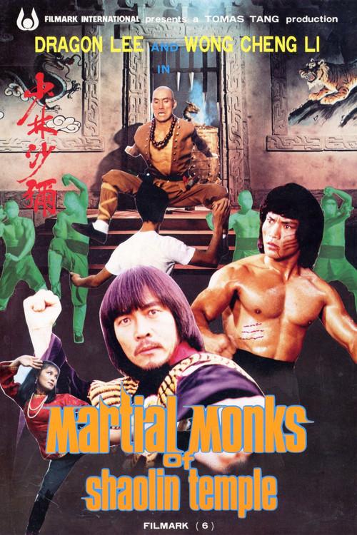 Martial Monks of Shaolin Temple film afişi