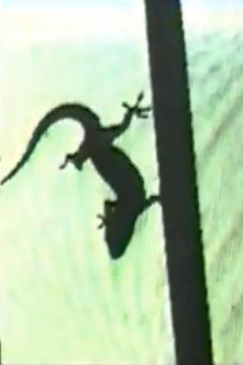 Lizard, or How to Perform in Front of the Reptile film afişi