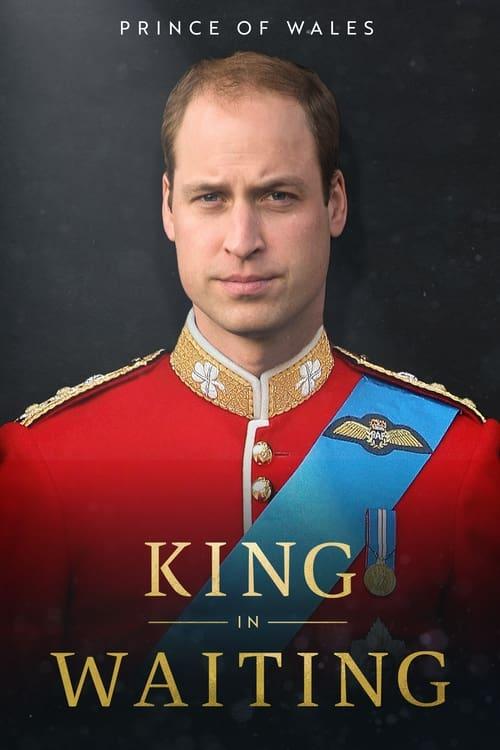Prince of Wales: King in Waiting film afişi
