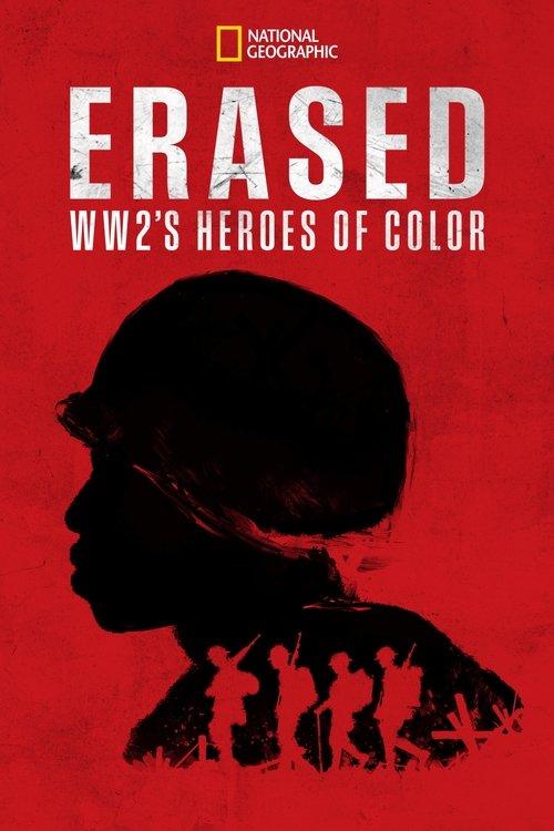 Erased: WW2's Heroes of Color dizi afişi