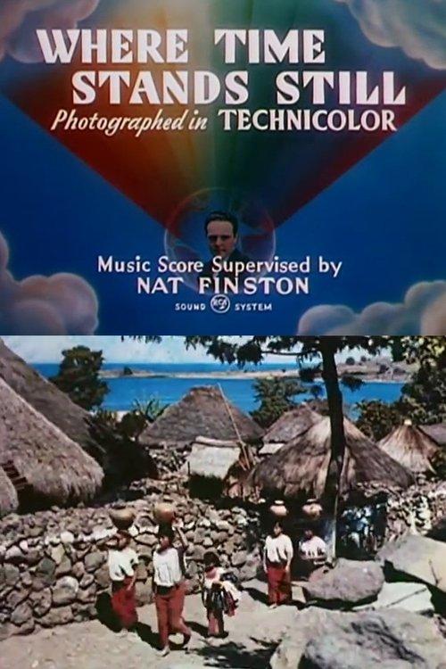 Where Time Stands Still film afişi