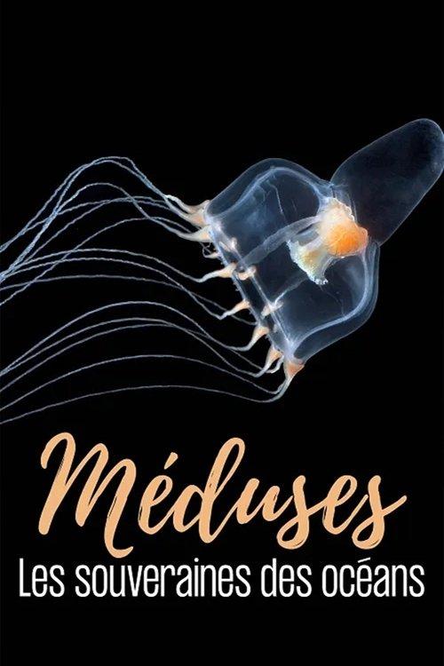 Méduses les souveraines des océans film afişi