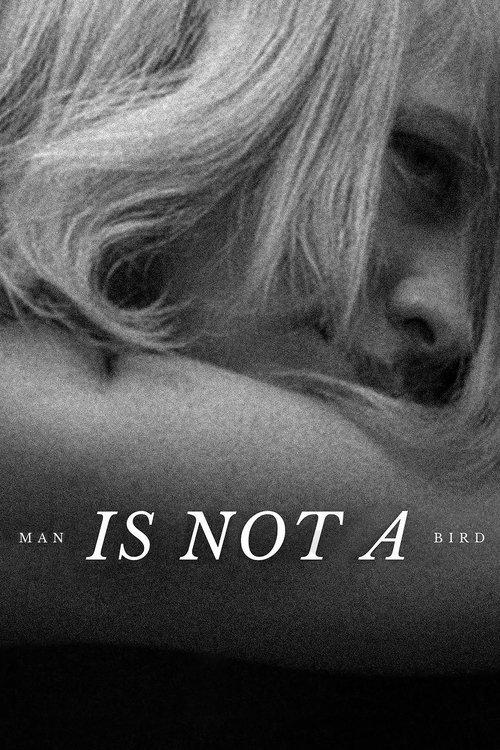 Man Is Not a Bird film afişi