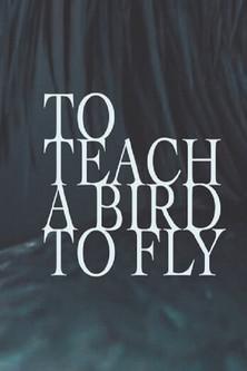 To Teach a Bird to Fly film afişi