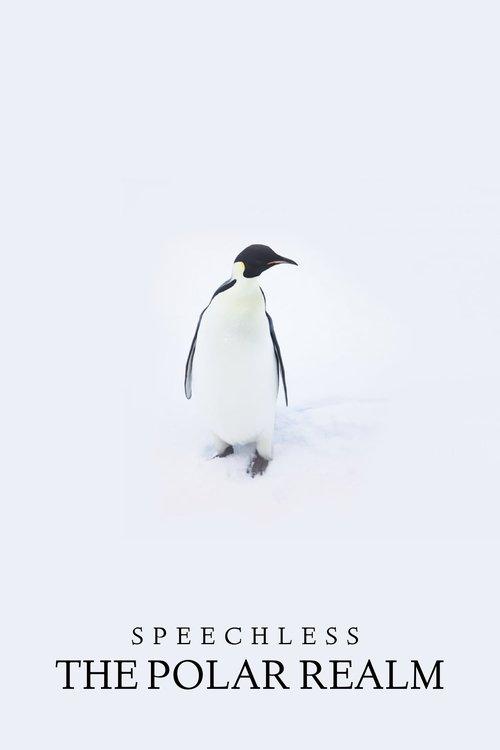 Speechless: The Polar Realm film afişi