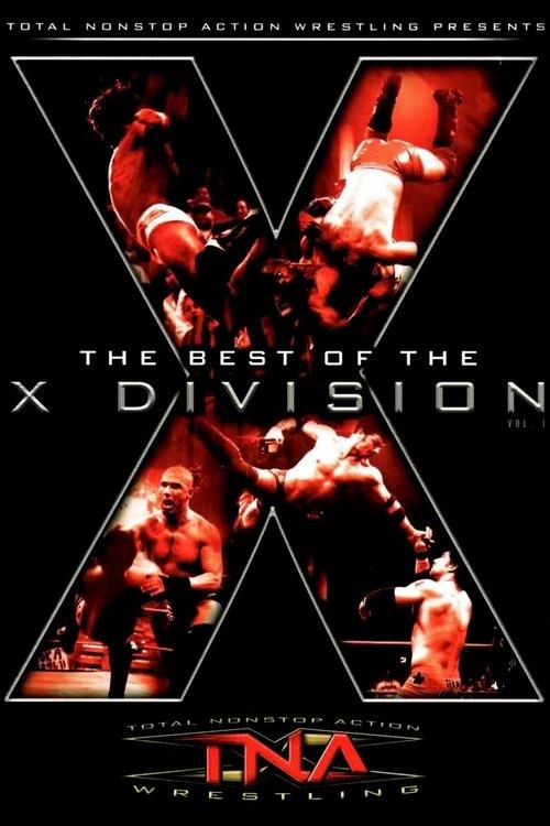 The Best of the X Division Vol. 1 film afişi