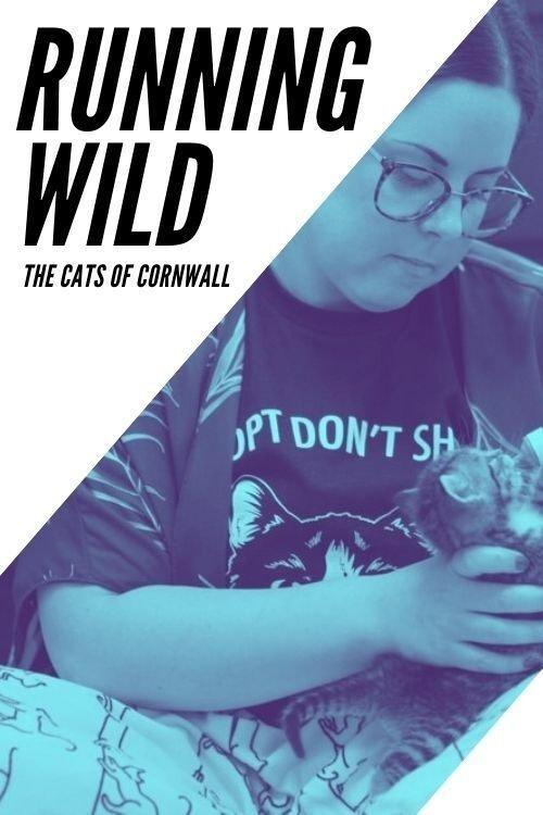 Running Wild: The Cats of Cornwall film afişi