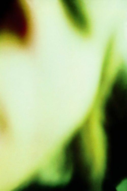 The Smashing Pumpkins: Basement Jam (Pulse Cable Access Show, November 19, 1988) film afişi