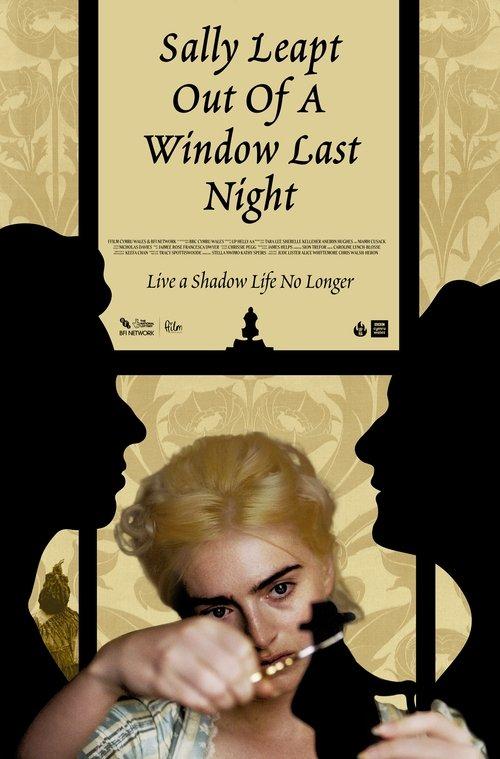 Sally Leapt Out of a Window Last Night film afişi
