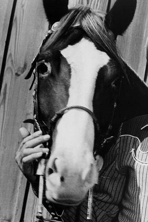 Champion fotoğrafı