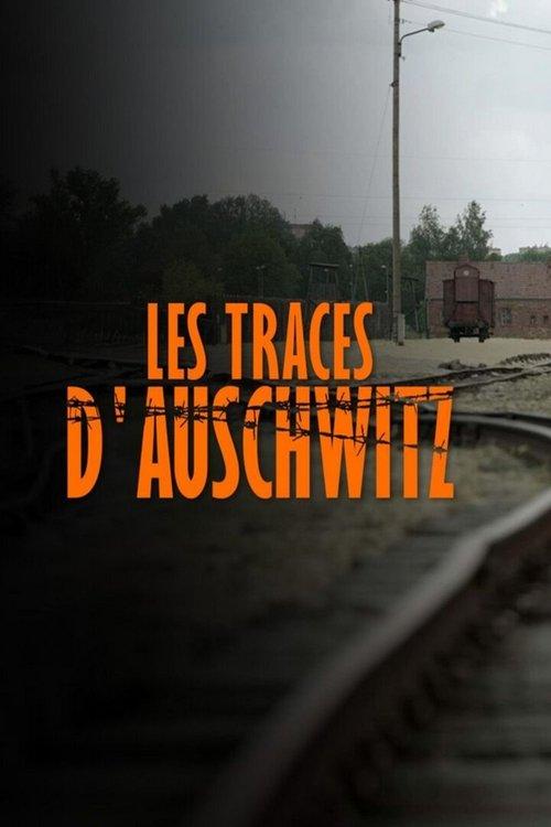 Les Traces D'Auschwitz (2021) dizi afişi