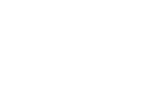 Monkey Kung Fu logo