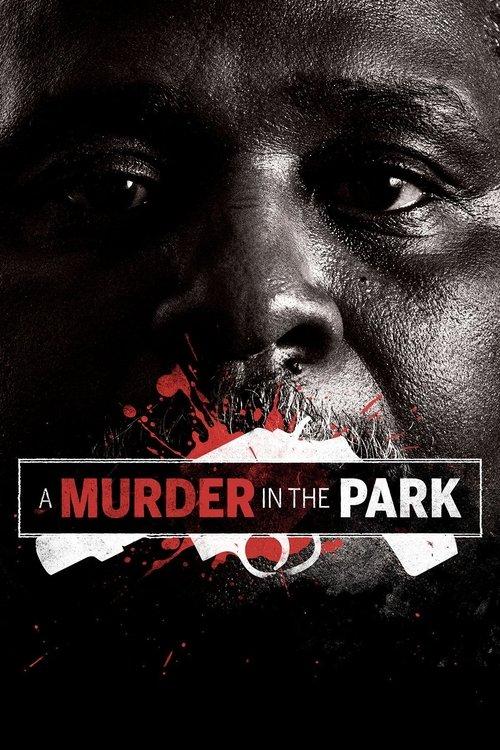 A Murder in the Park film afişi