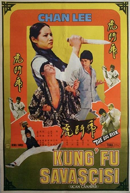 Kung Fu Conspiracy film afişi