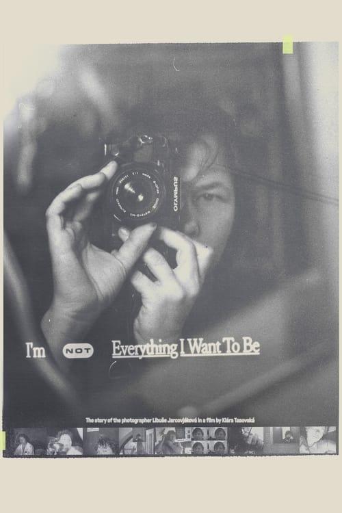 I'm Not Everything I Want to Be film afişi