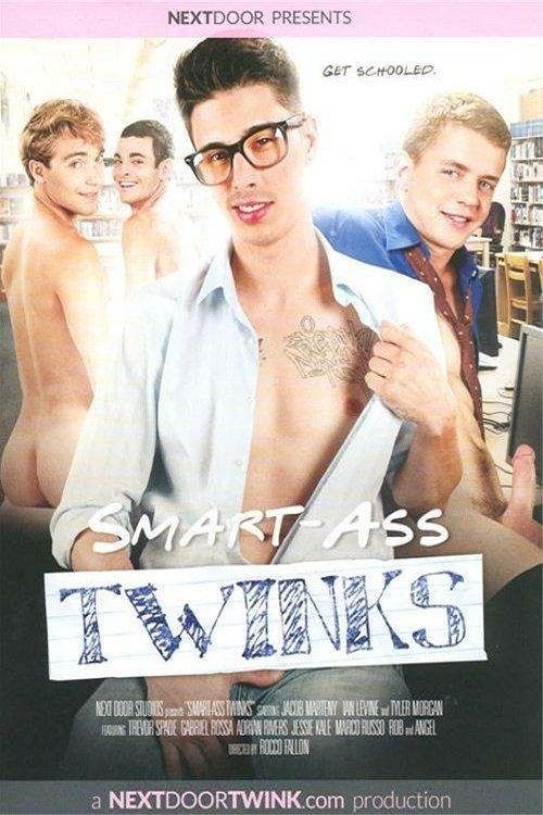 Smart-Ass Twinks film afişi