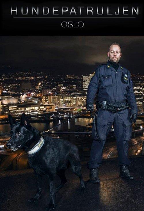 Hundepatruljen Oslo dizi afişi