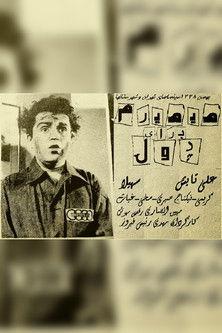 I Can Die for Money film afişi