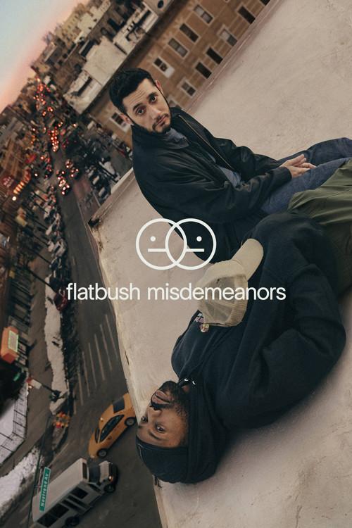 Flatbush Misdemeanors Sezon 1