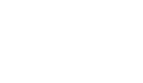Feride vs. The World logo