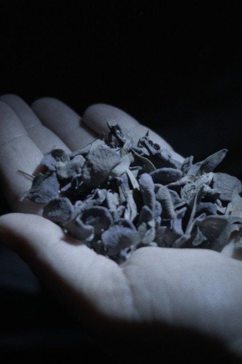 These things never happened but have always been film afişi