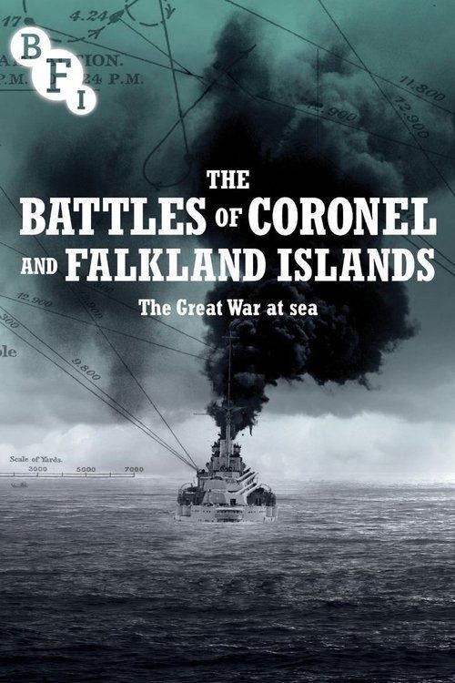 The Battles of Coronel and Falkland Islands film afişi