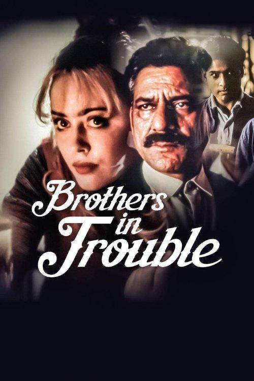 Brothers in Trouble film afişi