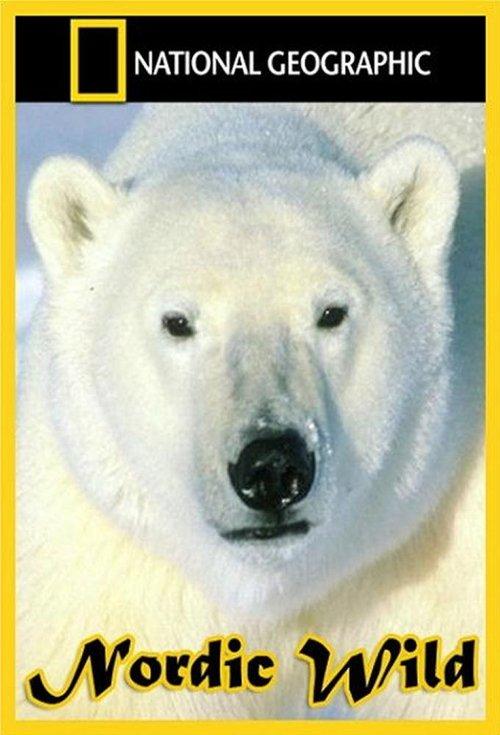 Nordic Wild dizi afişi