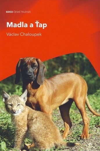 Madla a Ťap dizi afişi