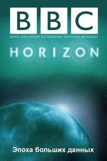 The Age of Big Data film afişi