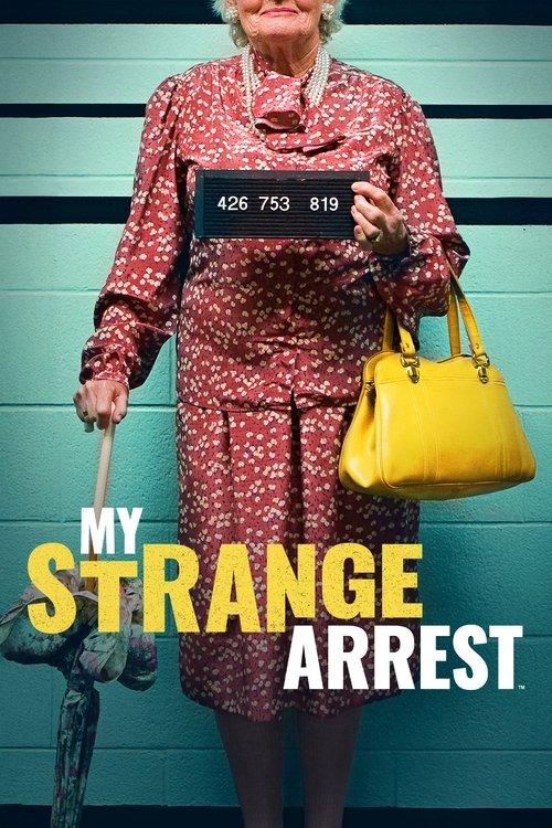My Strange Arrest dizi afişi