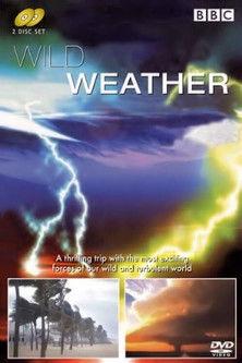 Wild Weather dizi afişi