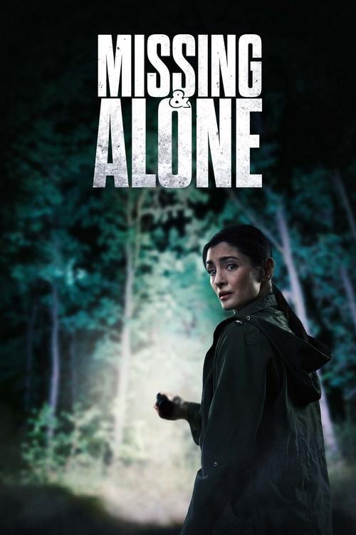 Missing and Alone film afişi