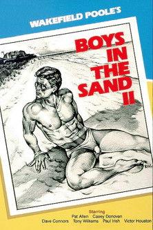 Boys in the Sand II film afişi