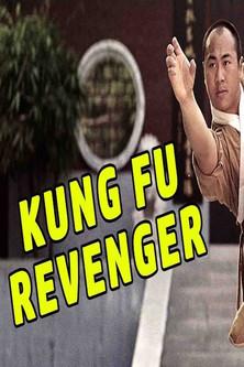 Kung Fu Revenger film afişi